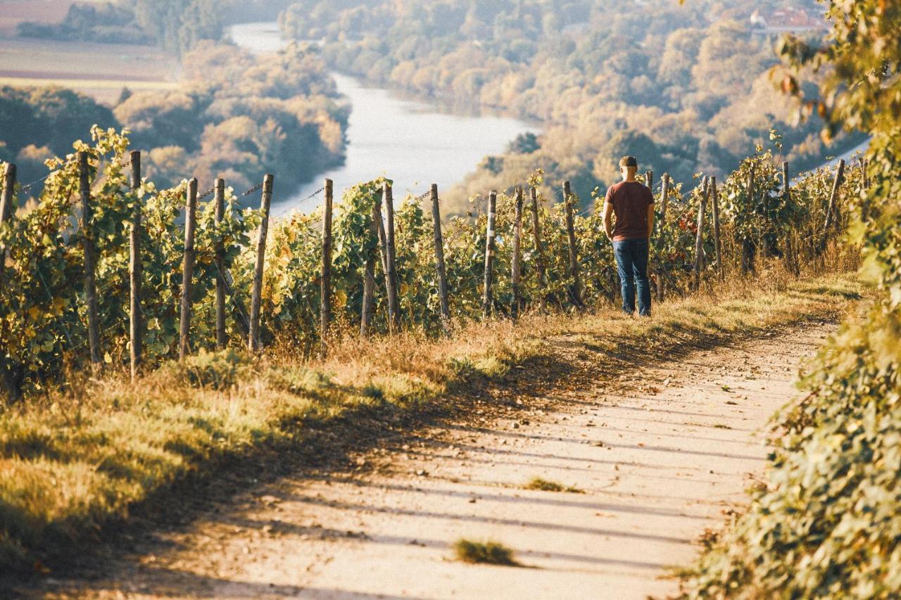 Hotel Weingut Pastoriushaus - Artur Steinmann Sommerhausen Exteriér fotografie